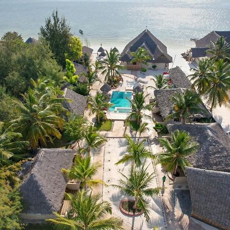 Horizon Of Michamvi Beach Zanzibar Exteriér fotografie