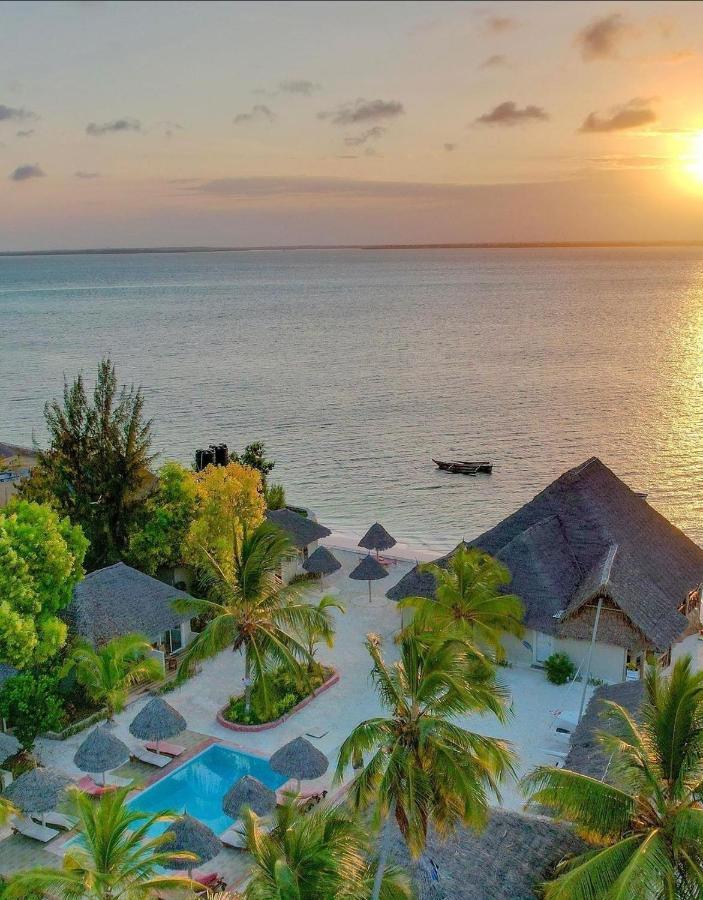 Horizon Of Michamvi Beach Zanzibar Exteriér fotografie