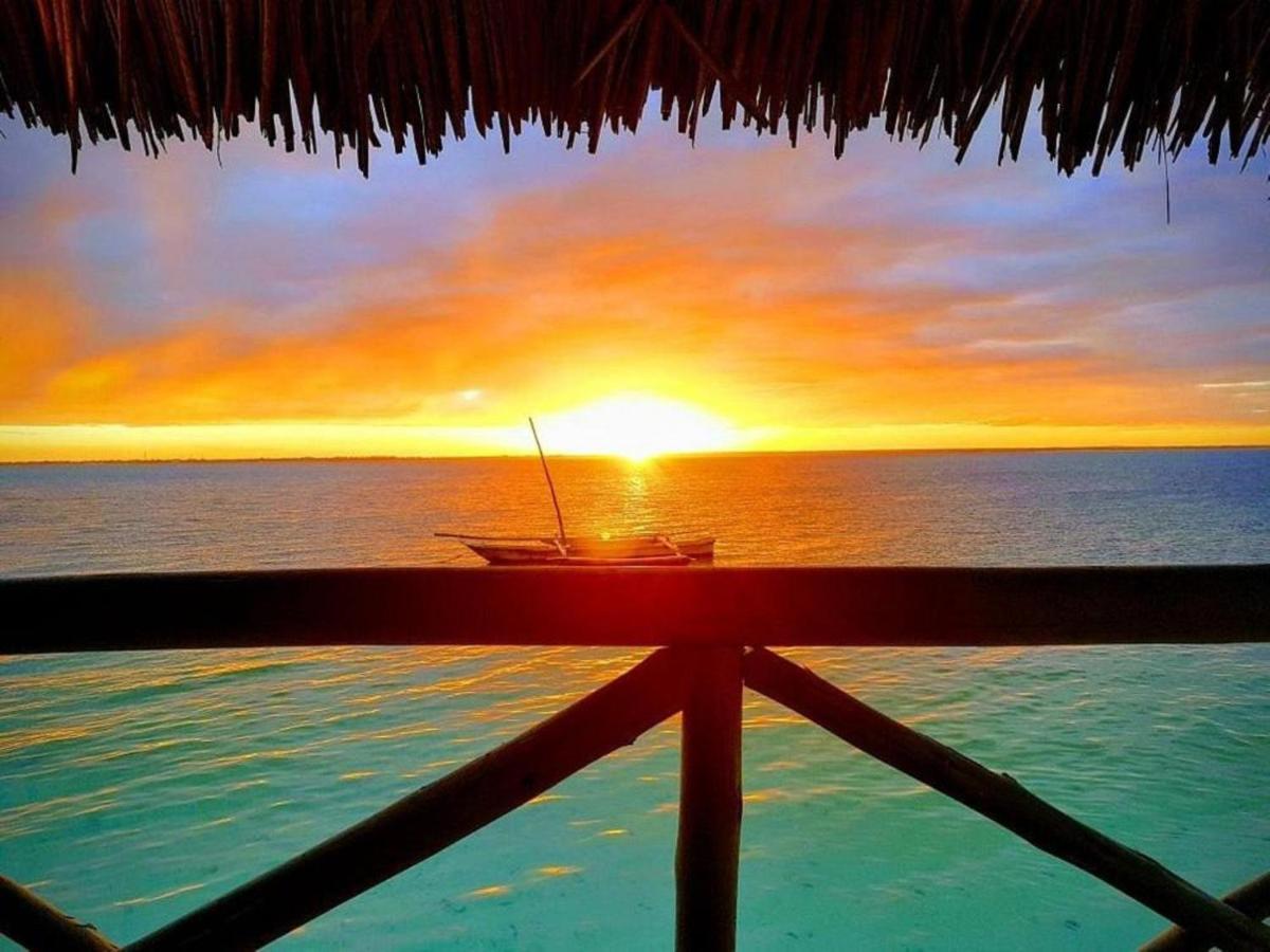 Horizon Of Michamvi Beach Zanzibar Exteriér fotografie