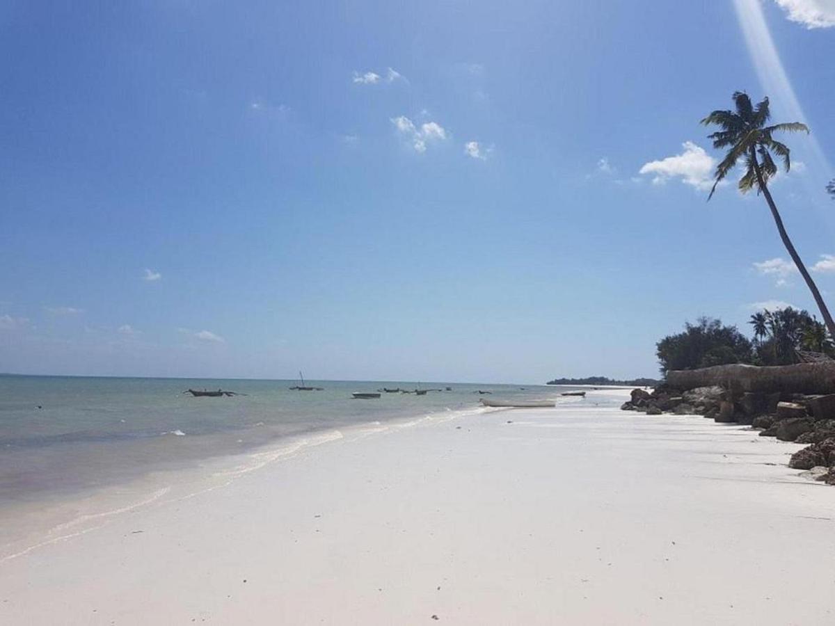 Horizon Of Michamvi Beach Zanzibar Exteriér fotografie