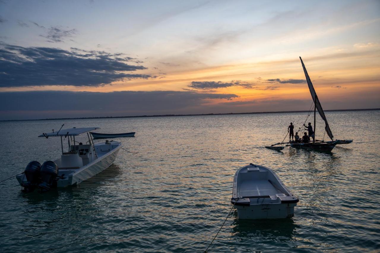 Horizon Of Michamvi Beach Zanzibar Exteriér fotografie