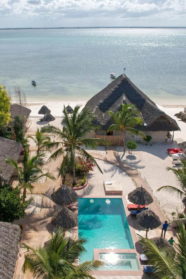 Horizon Of Michamvi Beach Zanzibar Exteriér fotografie