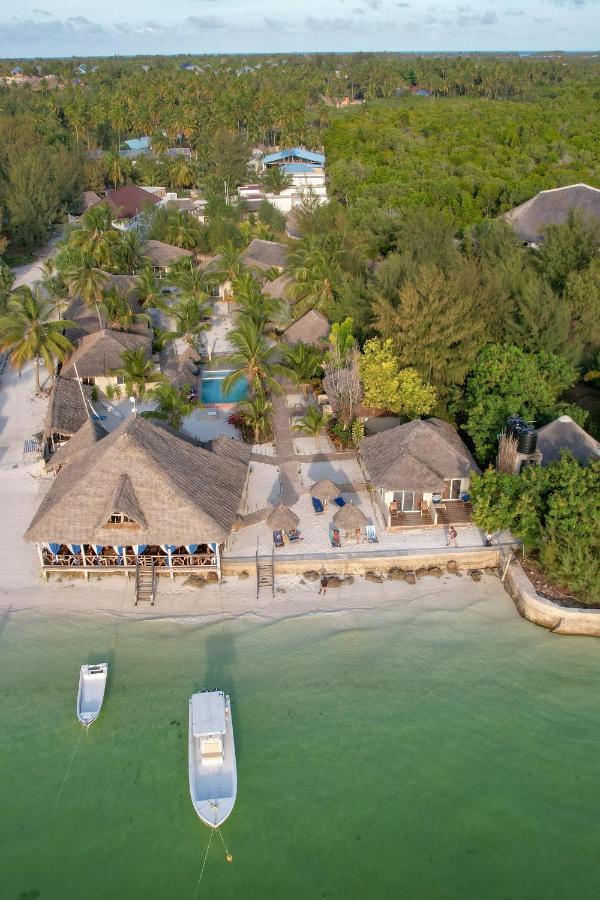 Horizon Of Michamvi Beach Zanzibar Exteriér fotografie