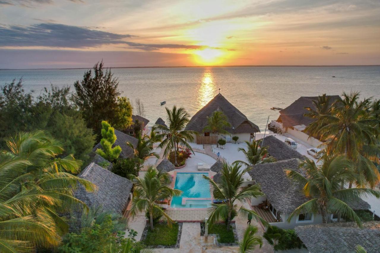 Horizon Of Michamvi Beach Zanzibar Exteriér fotografie